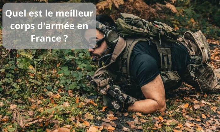 le meilleur corps d'armée en France