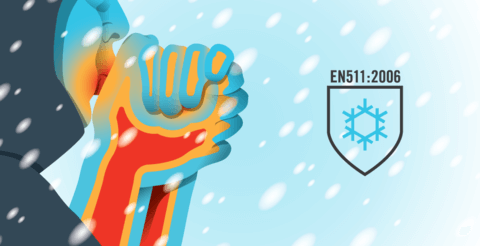 image de la température corporelle des mains