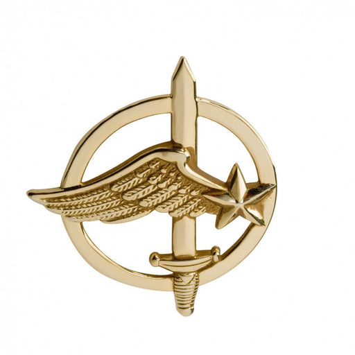 Insigne Commando Air