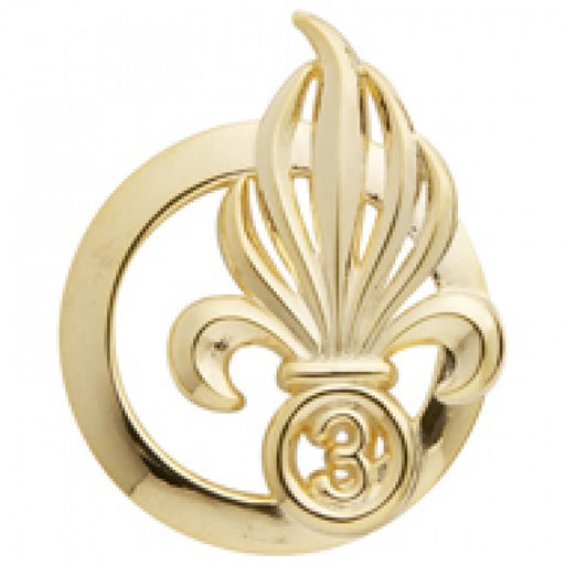 Insigne Légion Étrangère 3eme Régiment d'Infanterie