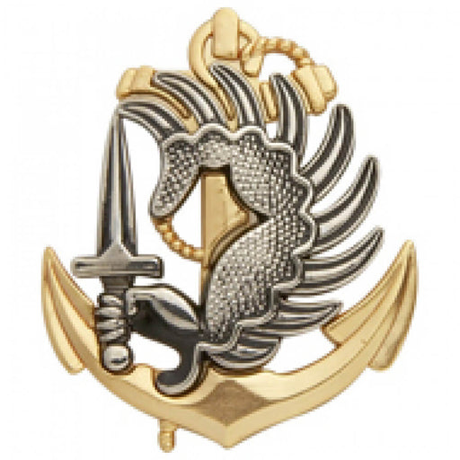 Insigne Troupes Aéroportées de Marine
