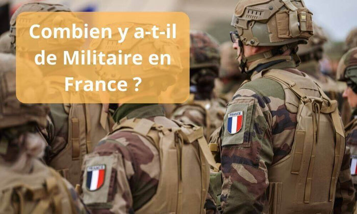Combien y a-t-il de Militaire en France ?