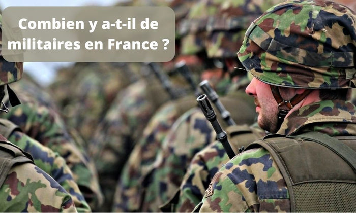 Combien y a-t-il de militaires en France ?