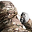 Veste softshell V2 FIGHTER GEN 2 MultiCam